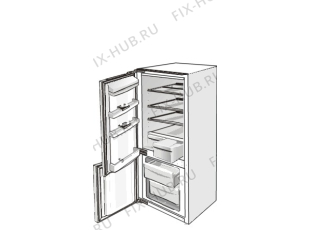 Холодильник Sibir KI231LA-L (645776, HZI2386) - Фото
